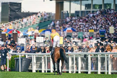 King Edward VII Stakes 2022 Result .